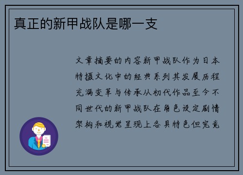真正的新甲战队是哪一支